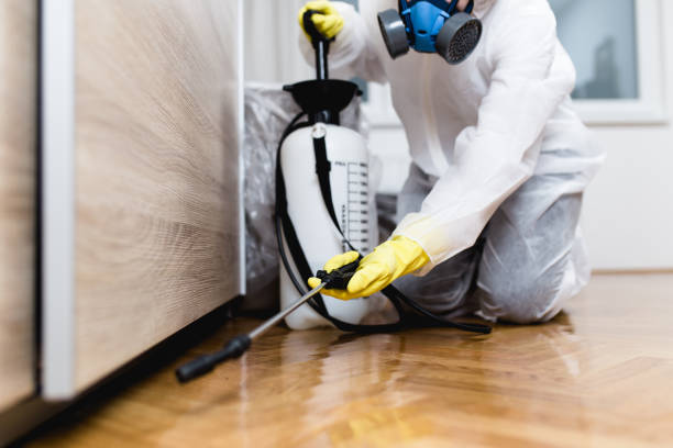 Best Exterminator Services  in Port St John, FL