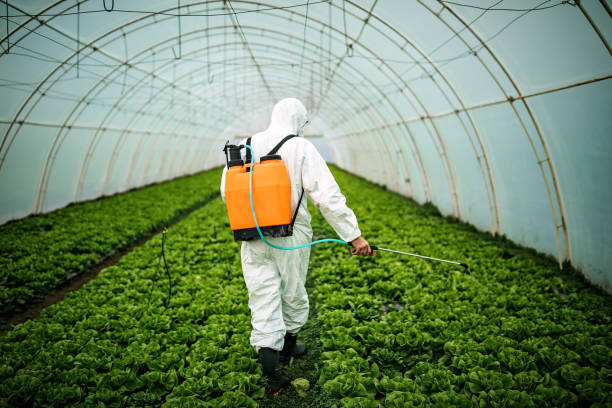 Best Commercial Pest Control Services  in Port St John, FL