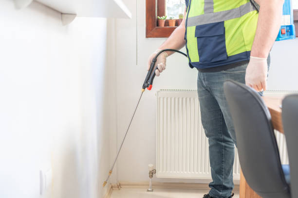 Professional Pest Control in Port St John, FL