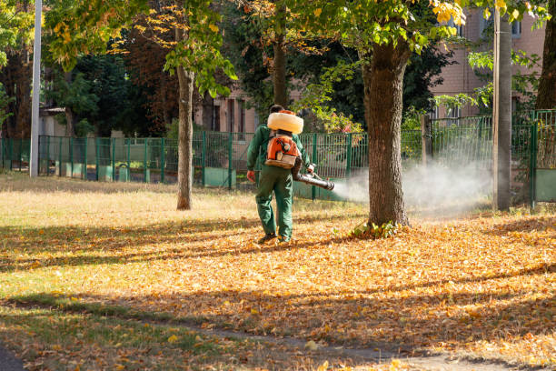 Best Pest Inspection Near Me  in Port St John, FL