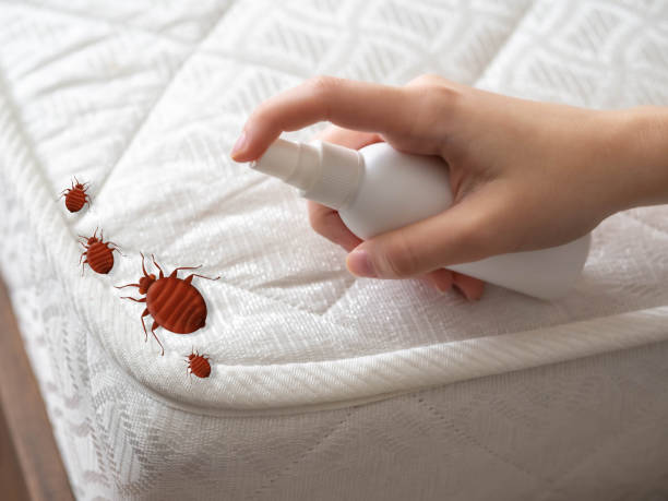 Port St John, FL Pest Control Company