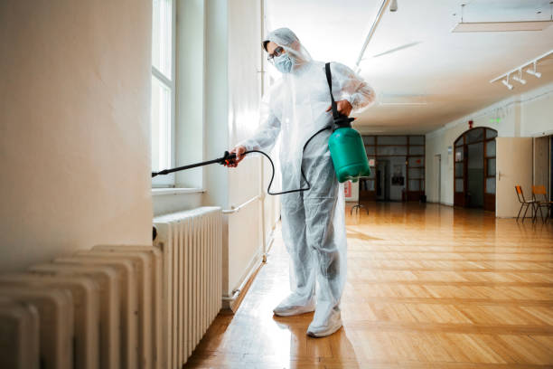 Insect Control in Port St John, FL