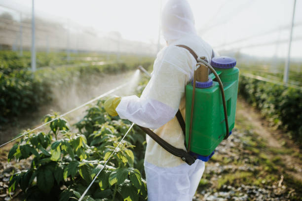Best Ant Control Services  in Port St John, FL